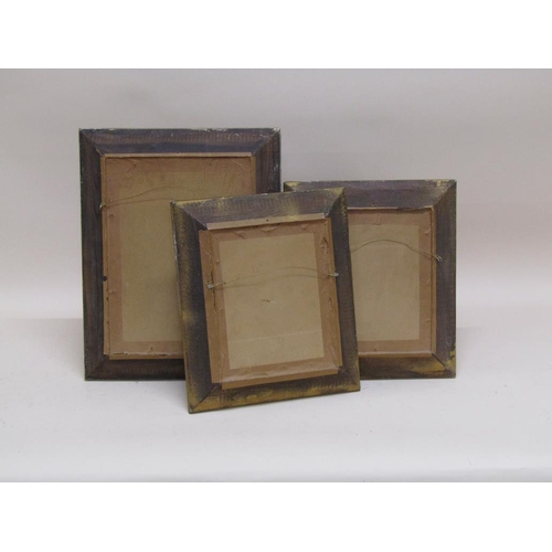 1350 - THREE EARLY 20C COSTUME ARRANGEMENTS, EACH F/G, 30CM X 22CM & 26CM X 22CM