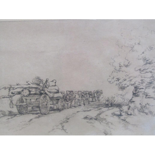 Lot 1365      