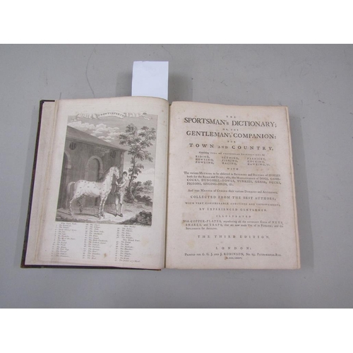 Lot 1385      