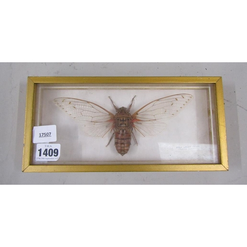 Lot 1409      