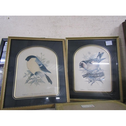 160 - FRAMED BIRD PRINTS