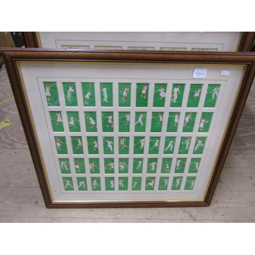 173 - FRAMED CIGARETTE CARDS