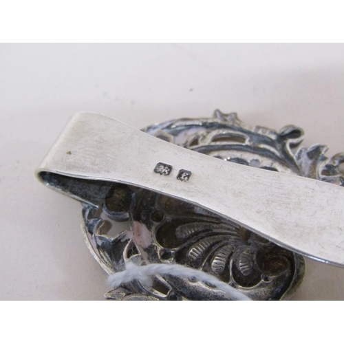 1426 - EDWARDIAN SILVER LADIES SPECTACLE CASE ON CHATELAINE CLIP