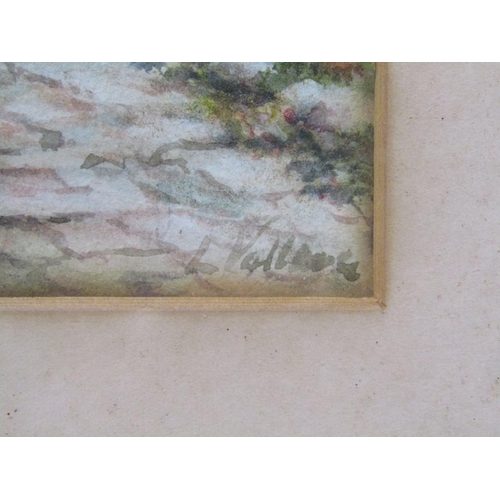 1172 - SIGNED INDISTINCTLY - SUMMER COTTAGE GARDEN, WATERCOLOUR, 18CM X 12CM