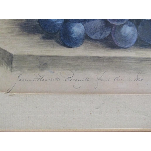 1112 - JOSIENA HENRIETTE PROCQUETTE c.1868, GRAPES WITH BUTTERFLY, WATERCOLOUR F/G; BEIN LEACOCH - LOCH SCA... 