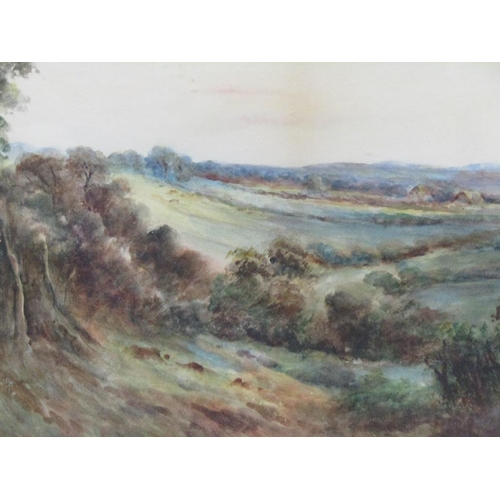 1134 - L CHAPMAN, PAIR OF LANDSCAPE AND RIVERSCAPE, WATERCOLOURS.  F/G 27 x 37 cms