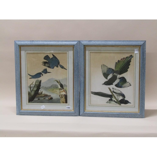 1163 - PAIR OF FRAMED COLOURED PRINTS - ORIENTAL EXOTIC BIRDS AND MAGPIES, EACH APPROX 40CM X 30CM