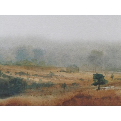 1164 - LIONEL JEANS - EXTENSIVE SUMMERTIME MOORLAND LANDSCAPE, F/G, 23CM X 66CM