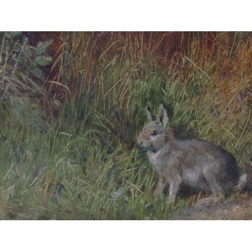 1255 - Henry Carter 1915 - Hare in a hedgerow, oil on board, framed, 15cm x 24cm.