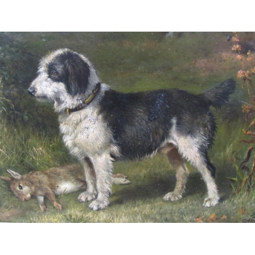 1257 - Henry William Carter - Terrier dog with hare, signed oil on board, framed, 22cm x 27cm.