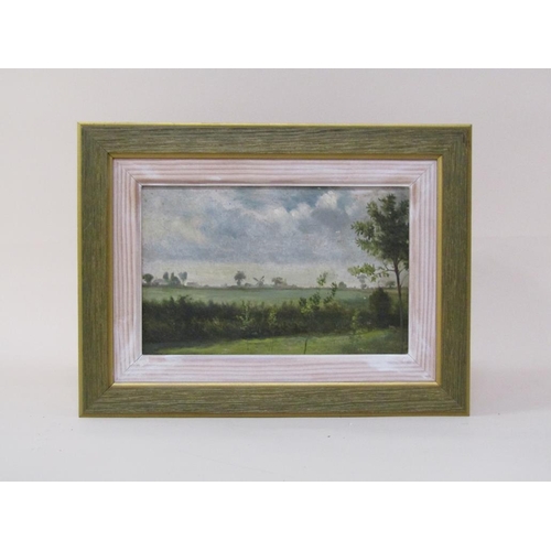 1262 - J Henry Carter 1892 - Field off Sporle Road, Swaffham, Norfolk, signed oil on board, framed, 14cm x ... 