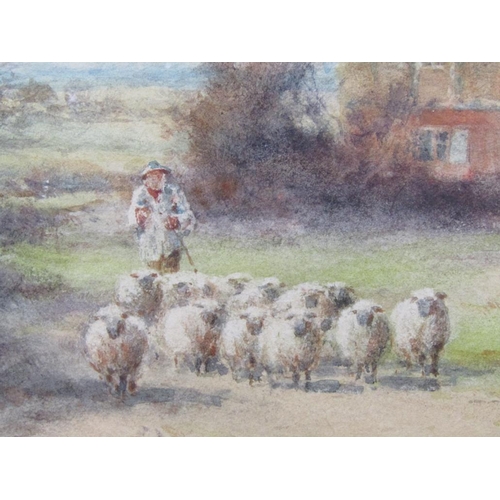 1214 - SYLVESTER STANNARD - SHEPHERD WITH HIS FLOCK, SIGNED WATERCOLOUR, F/G, 32CXM X 53CM