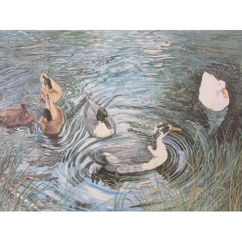 1216 - ALEX WILLIAMS - MALLARDS & DUCKS IN WINTER, INFORMATION TO REVERSE, WATERCOLOURS, BOTH F/G, 31CM X 4... 