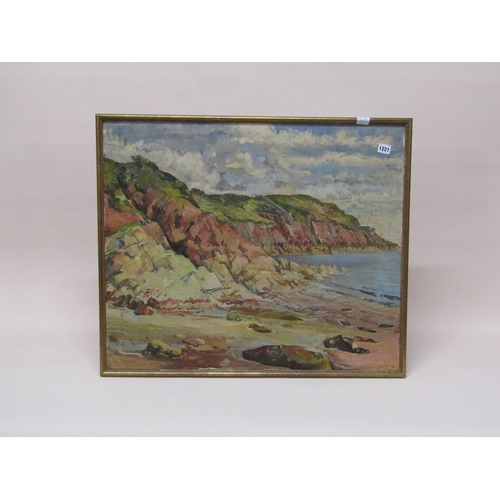 1221 - SHELLEY 60 - COASTAL CLIFFS AND ROCKY FORESHORE, SIGNED OIL ON CANVAS, FRAMED, 62CM X 75CM