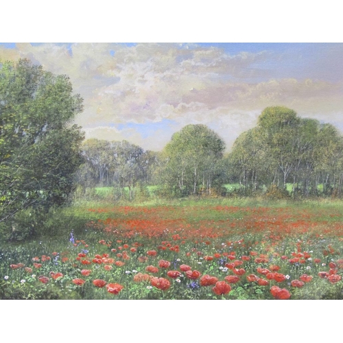 1252 - C MADGWICK - THE POPPY FIELD, SIGNED OIL ON CANVAS, UNFRAMED, 40CM X 60CM