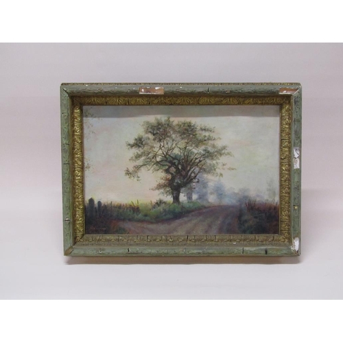 1264 - ALIX JENNINGS - AUTUMN ROADWAY PASSING OAK TREES, SIGNED OIL ON BOARD, FRAMED, 40CM X 60CM