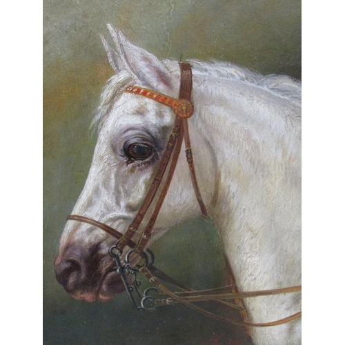 1233 - SIGNED IN MONO A.L - PORTRAIT OF A HORSE, OIL ON BOARD, FRAMED, 30CM X 25CM