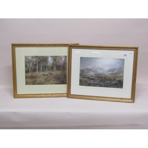 1246 - J ROSS - PAIR, DEER IN ROCKY LANDSCAPE & TWO DEER IN WOODLAND SCENE, SIGNED WATERCOLOURS, F/G, APPRO... 