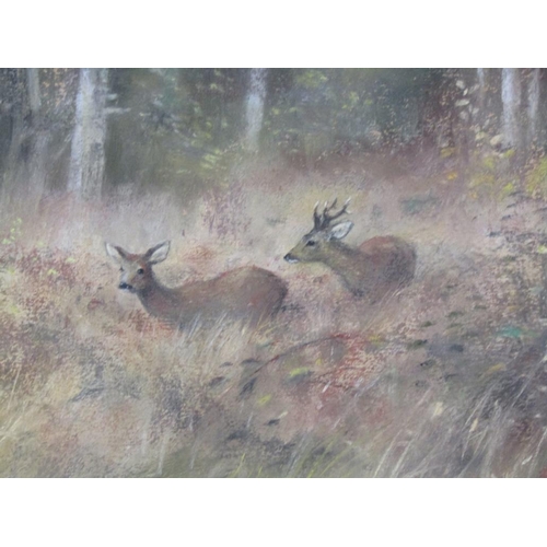 1246 - J ROSS - PAIR, DEER IN ROCKY LANDSCAPE & TWO DEER IN WOODLAND SCENE, SIGNED WATERCOLOURS, F/G, APPRO... 