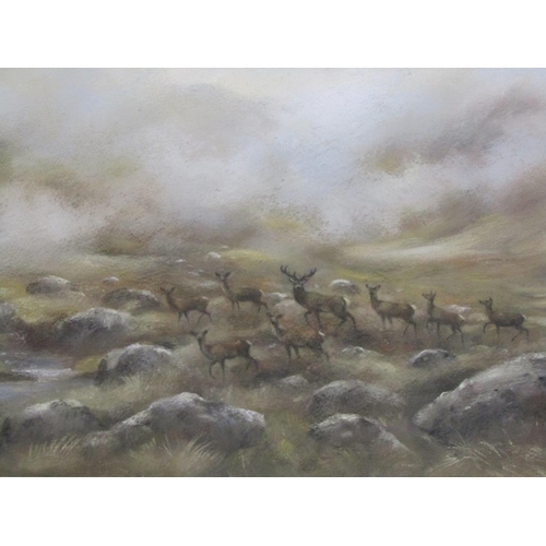 1246 - J ROSS - PAIR, DEER IN ROCKY LANDSCAPE & TWO DEER IN WOODLAND SCENE, SIGNED WATERCOLOURS, F/G, APPRO... 