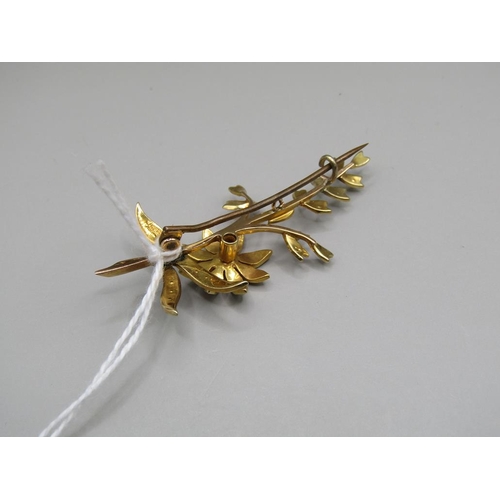 1626 - 15ct GOLD SEED PEARL LEAF BROOCH