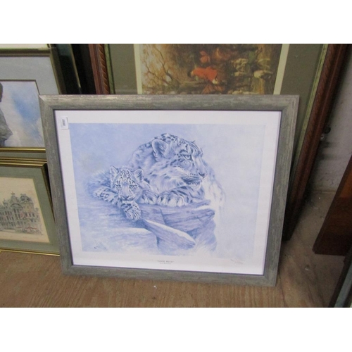 142 - QTY OF FRAMED PRINTS