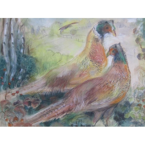 585 - PHEASANT PICTURE