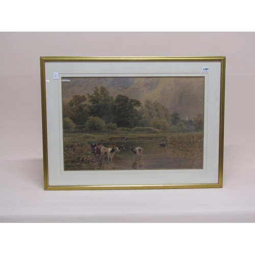 1107 - S MACPHERSON - CATTLE WATERING AT A BEND IN THE RIVER, SIGNED WATERCOLOUR, F/G, 48CM X 72CM