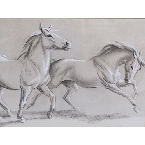 1146 - ERICA SATTILL - TWO WILD HORSES, CHARCOAL WITH COLOUR WASH, SIGNED, F/G, 30CM X 47CM