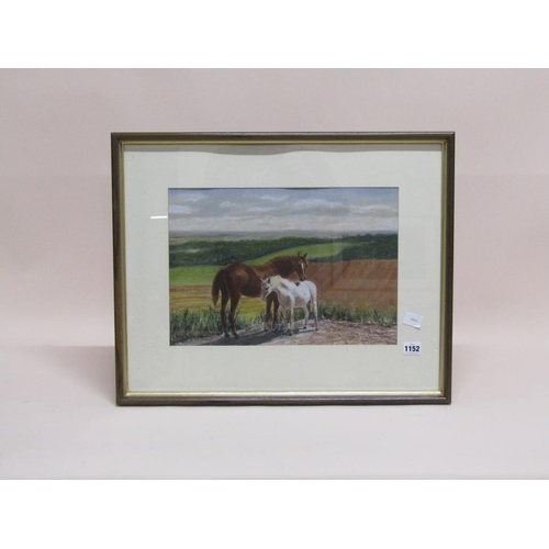 1152 - R A HOWARD - MARE AND FOAL IN LANDSCAPE, SIGNED WATERCOLOUR, F/G, 28CM X 40CM