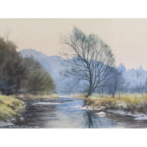 1161 - D ROTHWELL BAILEY 1980 - RIVERSCAPE IN WOODLAND SETTING, SIGNED WATERCOLOUR, F/G, 26CM X 36CM