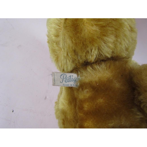 1254 - PEDIGREE TEDDYBEAR WITH GROWL