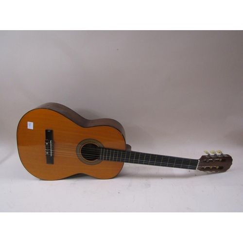 1260 - GUITAR AND CASE