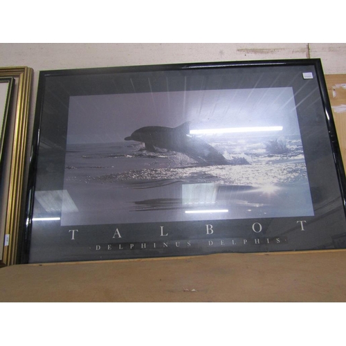 134 - DOLPHIN AND WHALE PHOTOGRAPHIC PRINTS