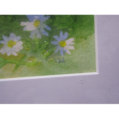 44 - BOTANICAL WATERCOLOURS - TERESA NEWHAM