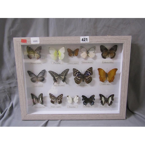 421 - FRAMED BUTTERFLIES