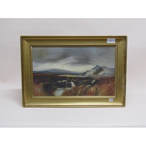 1258 - UNSIGNED LATE 19C/EARLY 20C - MOORLAND LANDSCAPE WITH DISTANT HILLS, OIL ON CANVAS, FRAMED, 39CM X 6... 