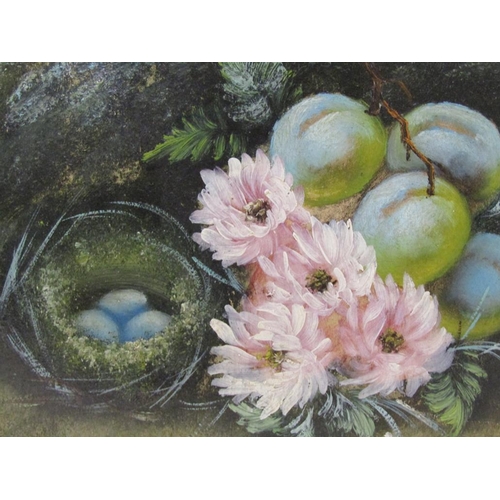 1270 - UNSIGNED - BIRDS NEST, FRUIT AND FLOWERS, OIL ON PANEL, FRAMED, 19CM X 28CM