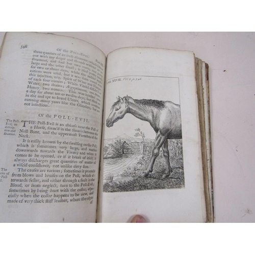 1360 - BOOK - A NEW TREATIES ON THE DISEASES OF HORSES