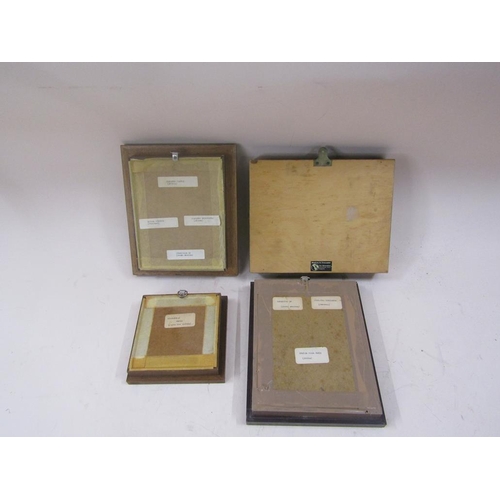 1417 - FOUR F/G CASED BUTTERFLY DISPLAYS