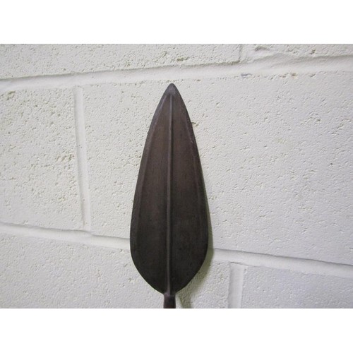 1428 - AFRICAN SPEAR, 160CM L