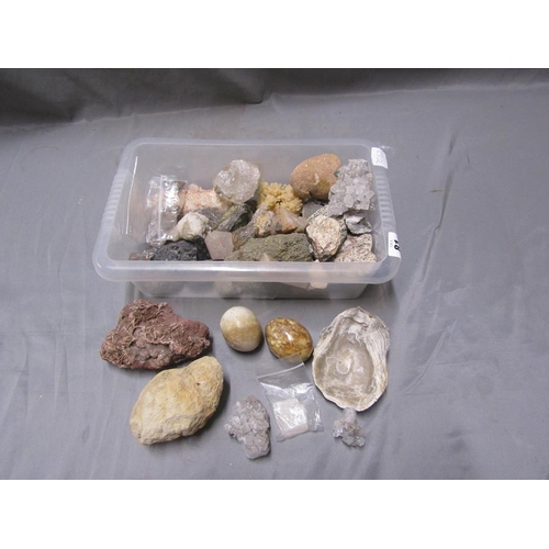 81 - COLLECTION OF MINERAL STONES ETC