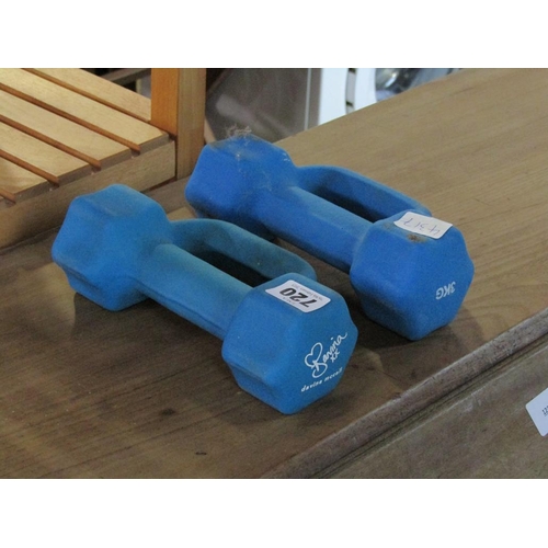 720 - TWO EXERCISE WEIGHTS