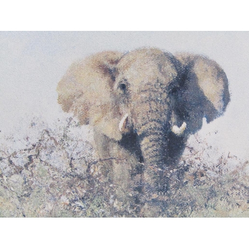 1226 - DAVID SHEPHERD - TWO PRINTS - BULL ELEPHANTS, LARGEST 37CM X 75CM