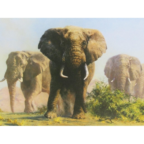 1226 - DAVID SHEPHERD - TWO PRINTS - BULL ELEPHANTS, LARGEST 37CM X 75CM