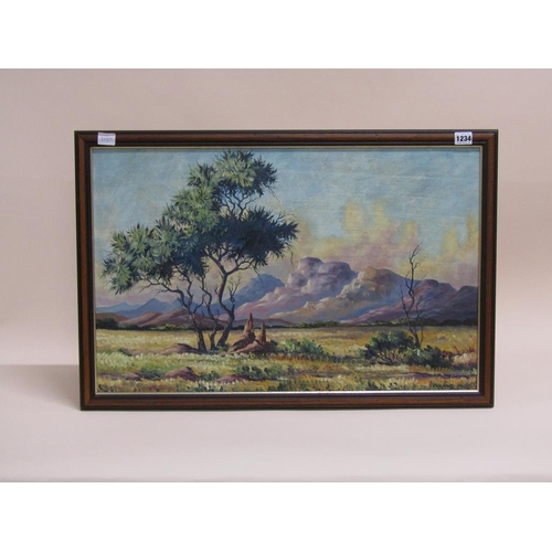 1234 - E W CRAILL 1967 - DISTANT MOUNTAINS, SIGNED, 45CM X 70CM