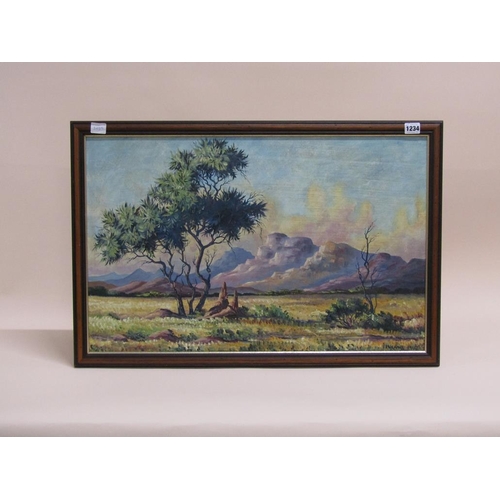 1234 - E W CRAILL 1967 - DISTANT MOUNTAINS, SIGNED, 45CM X 70CM