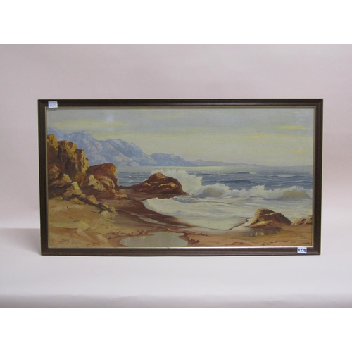 1235 - GERRIE SNYMAN 66 - ROCKY FORESHORE, SIGNED OIL ON BOARD, FRAMED, 48CM X 92CM