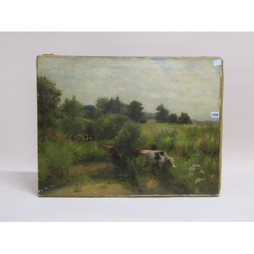 1238 - UNSIGNED LATE 19C - CATTLE IN MARSHLANDS, OIL ON CANVAS, UNFRAMED, 57CM X 74CM