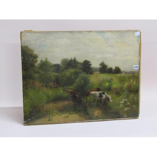 1238 - UNSIGNED LATE 19C - CATTLE IN MARSHLANDS, OIL ON CANVAS, UNFRAMED, 57CM X 74CM